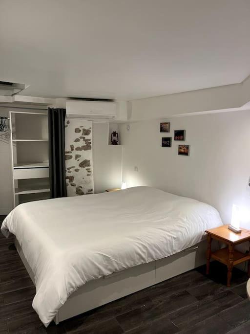 Appartement Climatise Albi - Centre Kültér fotó