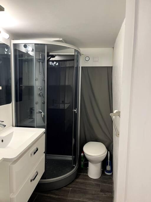 Appartement Climatise Albi - Centre Kültér fotó